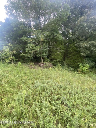 7 Richardson Rd, Eastview, Kentucky 42732, ,Land,For Sale,Richardson,1643267