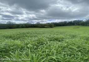 8 Meeting Creek Rd, Eastview, Kentucky 42732, ,Land,For Sale,Meeting Creek,1643273