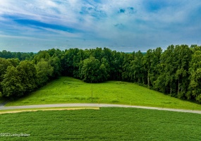 0 Baldett Dr, Russell Springs, Kentucky 42642, ,Land,For Sale,Baldett,1643573