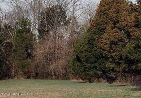 642 Hobbs Ln, Fisherville, Kentucky 40023, ,Land,For Sale,Hobbs,1643582