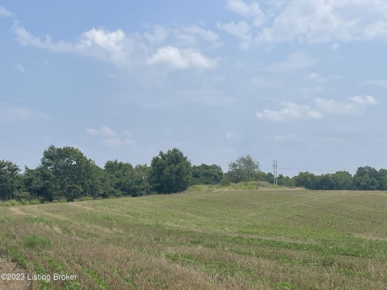 738 Logan Station Rd, Shelbyville, Kentucky 40065, ,Land,For Sale,Logan Station,1643675