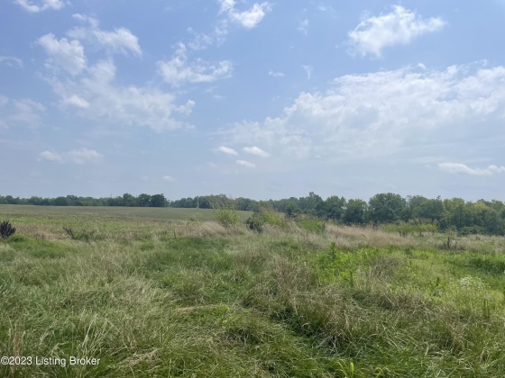 738 Logan Station Rd, Shelbyville, Kentucky 40065, ,Land,For Sale,Logan Station,1643675