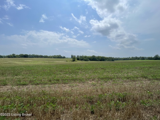 738 Logan Station Rd, Shelbyville, Kentucky 40065, ,Land,For Sale,Logan Station,1643675