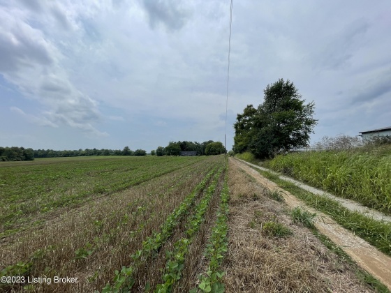 738 Logan Station Rd, Shelbyville, Kentucky 40065, ,Land,For Sale,Logan Station,1643675