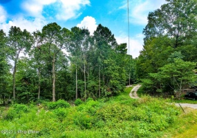 144 Briarwood Dr, Mammoth Cave, Kentucky 42259, ,Land,For Sale,Briarwood,1643687