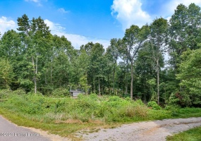 144 Briarwood Dr, Mammoth Cave, Kentucky 42259, ,Land,For Sale,Briarwood,1643687