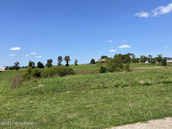 1024 Green Garden, Lawrenceburg, Kentucky 40342, ,Land,For Sale,Green Garden,1643911