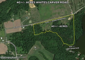 0 Whites Carver Rd, Lewisburg, Kentucky 42256, ,Land,For Sale,Whites Carver,1644166