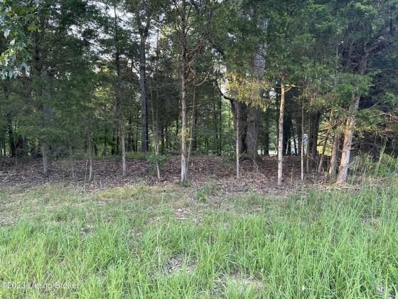 Lot #539 Strawberry Hill Dr., Brandenburg, Kentucky 40108, ,Land,For Sale,Strawberry Hill Dr.,1644281