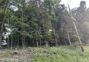 Lot #539 Strawberry Hill Dr., Brandenburg, Kentucky 40108, ,Land,For Sale,Strawberry Hill Dr.,1644281