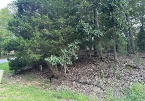 Lot #539 Strawberry Hill Dr., Brandenburg, Kentucky 40108, ,Land,For Sale,Strawberry Hill Dr.,1644281