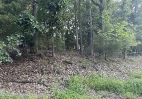 Lot #539 Strawberry Hill Dr., Brandenburg, Kentucky 40108, ,Land,For Sale,Strawberry Hill Dr.,1644281