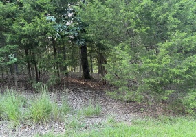 Lot #539 Strawberry Hill Dr., Brandenburg, Kentucky 40108, ,Land,For Sale,Strawberry Hill Dr.,1644281