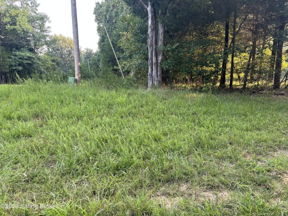 Lot #539 Strawberry Hill Dr., Brandenburg, Kentucky 40108, ,Land,For Sale,Strawberry Hill Dr.,1644281