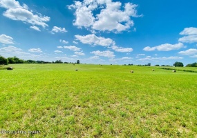 419 Perryville Rd, Springfield, Kentucky 40069, ,Land,For Sale,Perryville,1644784