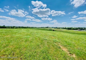 419 Perryville Rd, Springfield, Kentucky 40069, ,Land,For Sale,Perryville,1644784