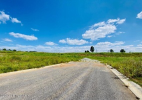 419 Perryville Rd, Springfield, Kentucky 40069, ,Land,For Sale,Perryville,1644784