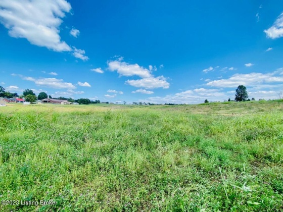 419 Perryville Rd, Springfield, Kentucky 40069, ,Land,For Sale,Perryville,1644784