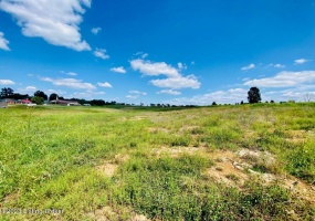 419 Perryville Rd, Springfield, Kentucky 40069, ,Land,For Sale,Perryville,1644784