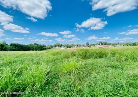 419 Perryville Rd, Springfield, Kentucky 40069, ,Land,For Sale,Perryville,1644784