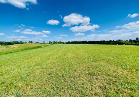 419 Perryville Rd, Springfield, Kentucky 40069, ,Land,For Sale,Perryville,1644784