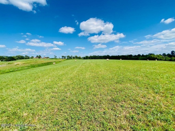 419 Perryville Rd, Springfield, Kentucky 40069, ,Land,For Sale,Perryville,1644784