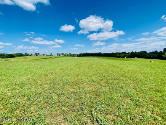 419 Perryville Rd, Springfield, Kentucky 40069, ,Land,For Sale,Perryville,1644784