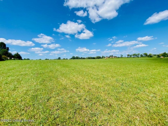 419 Perryville Rd, Springfield, Kentucky 40069, ,Land,For Sale,Perryville,1644784