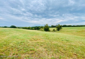 0 Settles Ln, Springfield, Kentucky 40069, ,Land,For Sale,Settles,1644805