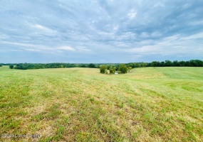 0 Settles Ln, Springfield, Kentucky 40069, ,Land,For Sale,Settles,1644805