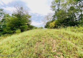 0 Settles Ln, Springfield, Kentucky 40069, ,Land,For Sale,Settles,1644805