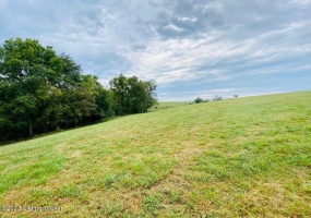 0 Settles Ln, Springfield, Kentucky 40069, ,Land,For Sale,Settles,1644805