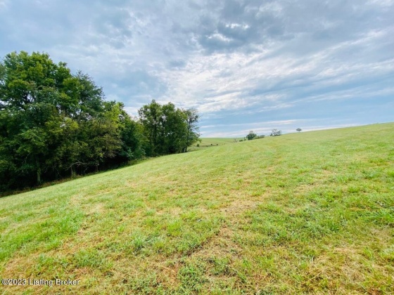 0 Settles Ln, Springfield, Kentucky 40069, ,Land,For Sale,Settles,1644805