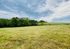 0 Settles Ln, Springfield, Kentucky 40069, ,Land,For Sale,Settles,1644805