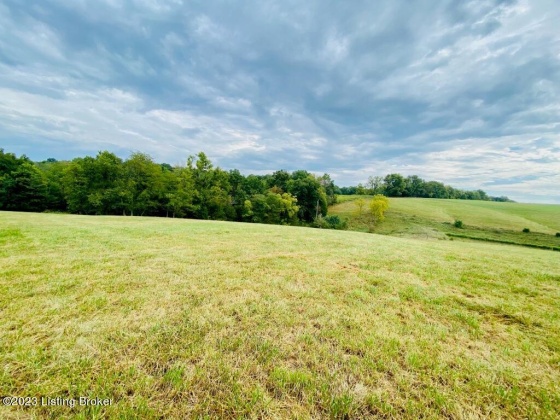 0 Settles Ln, Springfield, Kentucky 40069, ,Land,For Sale,Settles,1644805