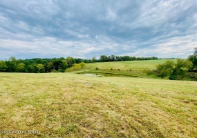 0 Settles Ln, Springfield, Kentucky 40069, ,Land,For Sale,Settles,1644805