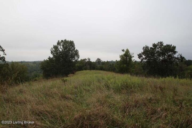 1070 Mt Eden Rd, Lawrenceburg, Kentucky 40342, ,Land,For Sale,Mt Eden,1645179