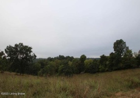 1070 Mt Eden Rd, Lawrenceburg, Kentucky 40342, ,Land,For Sale,Mt Eden,1645179