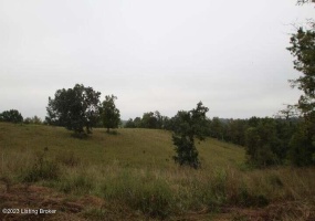 1070 Mt Eden Rd, Lawrenceburg, Kentucky 40342, ,Land,For Sale,Mt Eden,1645179