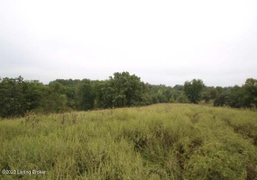 1070 Mt Eden Rd, Lawrenceburg, Kentucky 40342, ,Land,For Sale,Mt Eden,1645179