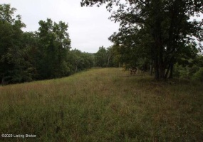 1070 Mt Eden Rd, Lawrenceburg, Kentucky 40342, ,Land,For Sale,Mt Eden,1645179