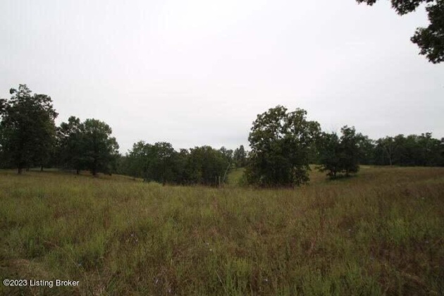 1070 Mt Eden Rd, Lawrenceburg, Kentucky 40342, ,Land,For Sale,Mt Eden,1645179