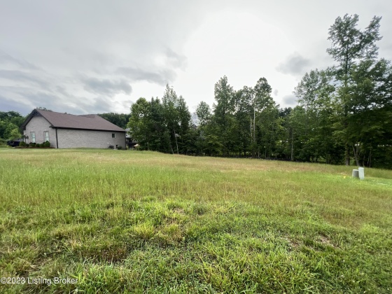 9813 Sunnys Halo Ct, Louisville, Kentucky 40214, ,Land,For Sale,Sunnys Halo,1645232