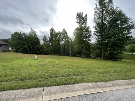 9813 Sunnys Halo Ct, Louisville, Kentucky 40214, ,Land,For Sale,Sunnys Halo,1645232