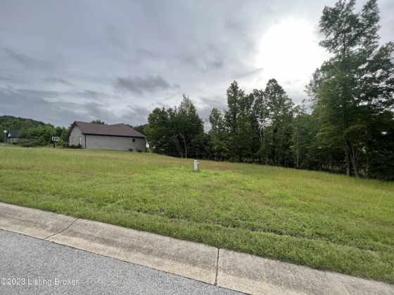 9813 Sunnys Halo Ct, Louisville, Kentucky 40214, ,Land,For Sale,Sunnys Halo,1645232