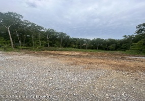 99 Pawnee Rd, Cub Run, Kentucky 42729, ,Land,For Sale,Pawnee,1645406