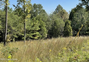 66 Patriots Landing Ln, Falls Of Rough, Kentucky 40119, ,Land,For Sale,Patriots Landing,1645444