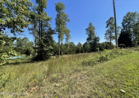 66 Patriots Landing Ln, Falls Of Rough, Kentucky 40119, ,Land,For Sale,Patriots Landing,1645444