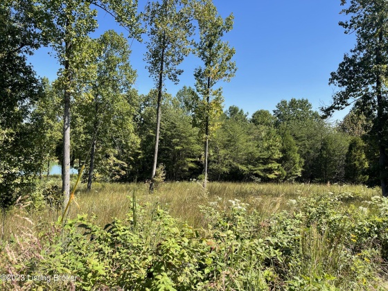 66 Patriots Landing Ln, Falls Of Rough, Kentucky 40119, ,Land,For Sale,Patriots Landing,1645444