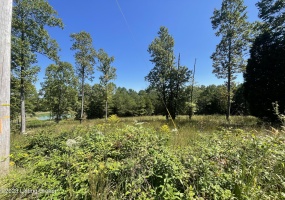 66 Patriots Landing Ln, Falls Of Rough, Kentucky 40119, ,Land,For Sale,Patriots Landing,1645444